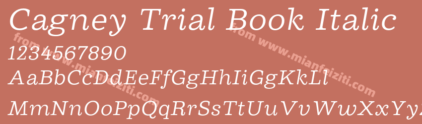 Cagney Trial Book Italic预览图1