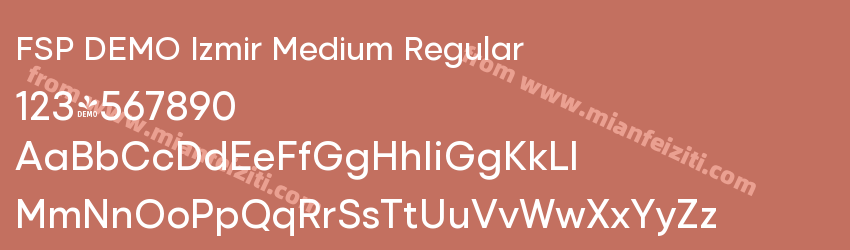 FSP DEMO Izmir Medium Regular预览图1