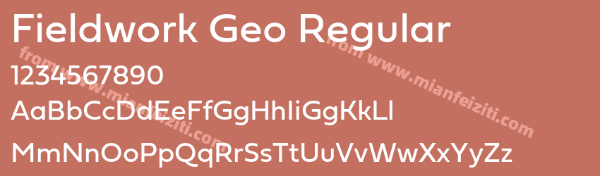 Fieldwork Geo Regular预览图1