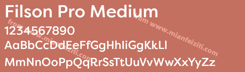 Filson Pro Medium预览图1