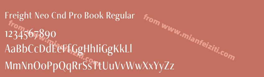 Freight Neo Cnd Pro Book Regular预览图1