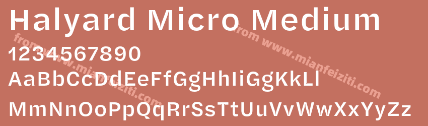 Halyard Micro Medium预览图1
