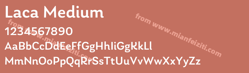 Laca Medium预览图1