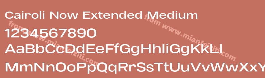 Cairoli Now Extended Medium预览图1