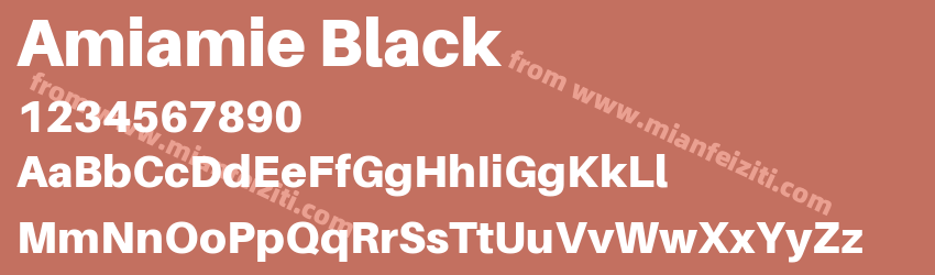 Amiamie Black预览图1