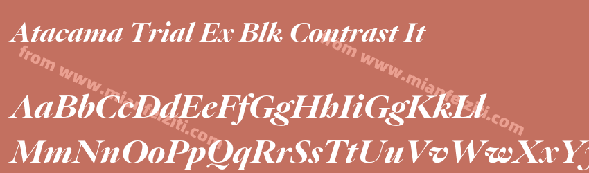 Atacama Trial Ex Blk Contrast It预览图1