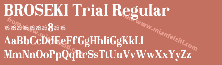 BROSEKI Trial Regular预览图1
