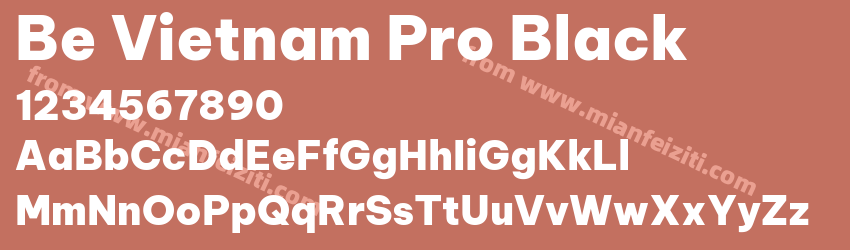 Be Vietnam Pro Black预览图1
