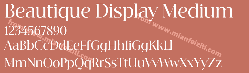 Beautique Display Medium预览图1