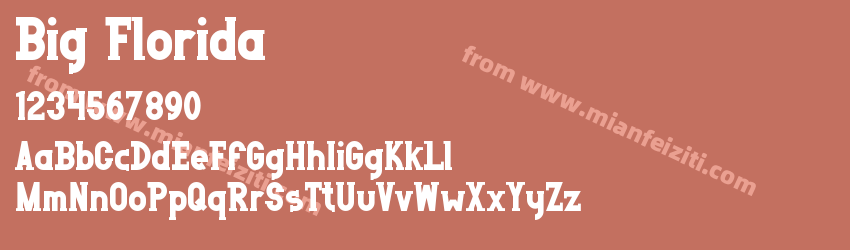 Big Florida预览图1
