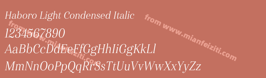 Haboro Light Condensed Italic预览图1 Haboro Light Condensed Italic预览图1