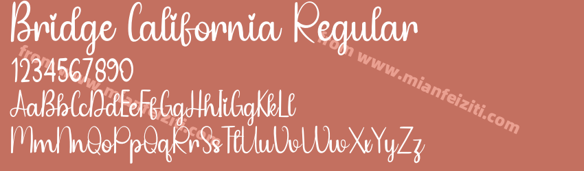 Bridge California Regular预览图1