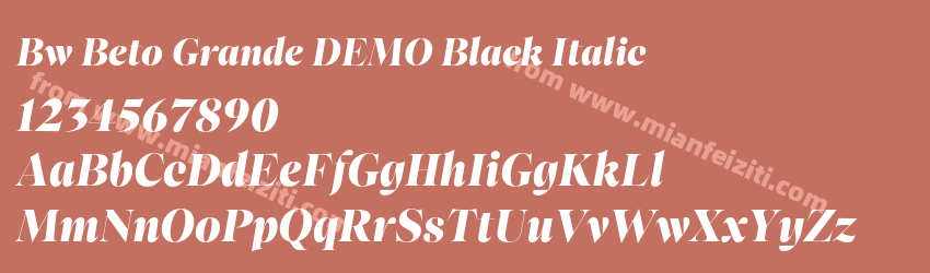 Bw Beto Grande DEMO Black Italic预览图1