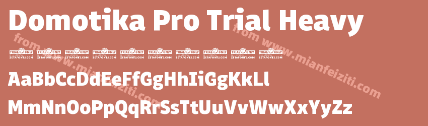 Domotika Pro Trial Heavy预览图1 Domotika Pro Trial Heavy预览图1