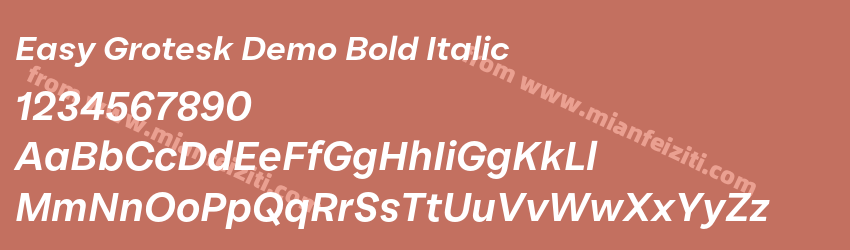 Easy Grotesk Demo Bold Italic预览图1