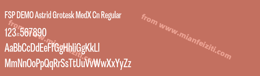 FSP DEMO Astrid Grotesk MedX Cn Regular预览图1