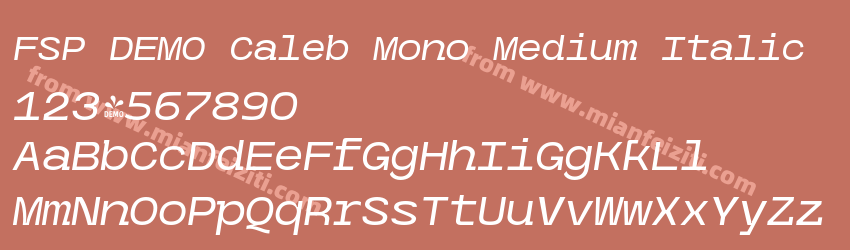 FSP DEMO Caleb Mono Medium Italic预览图1