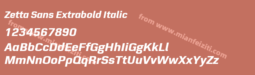 Zetta Sans Extrabold Italic预览图1