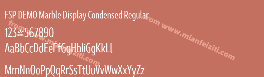 FSP DEMO Marble Display Condensed Regular预览图1