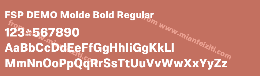 FSP DEMO Molde Bold Regular预览图1