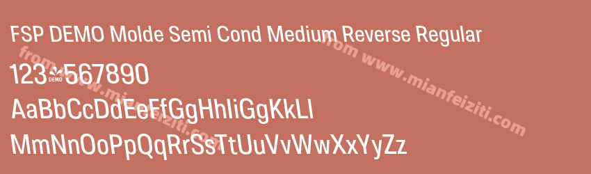 FSP DEMO Molde Semi Cond Medium Reverse Regular预览图1