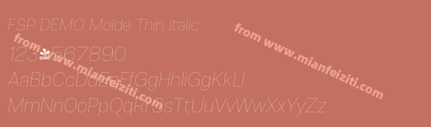FSP DEMO Molde Thin Italic预览图1