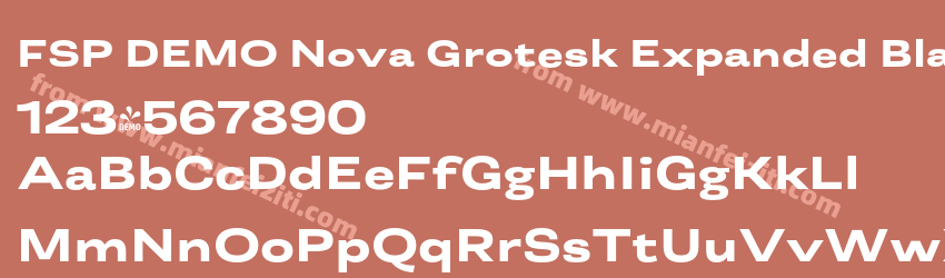 FSP DEMO Nova Grotesk Expanded Black Regular预览图1