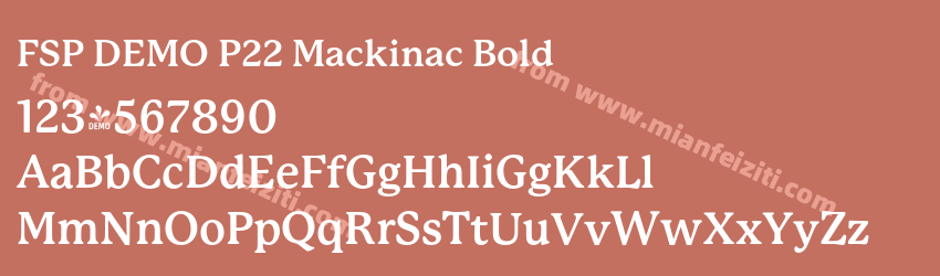 FSP DEMO P22 Mackinac Bold预览图1