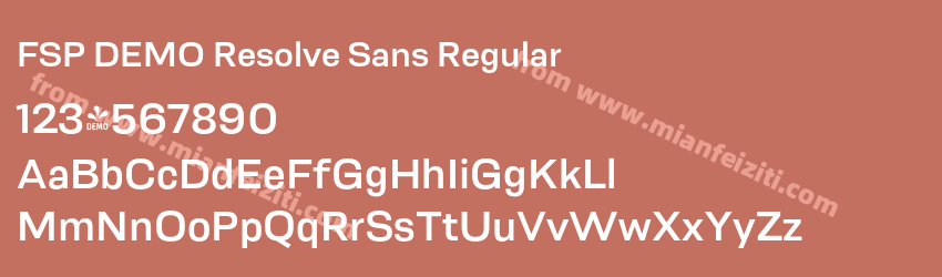 FSP DEMO Resolve Sans Regular预览图1
