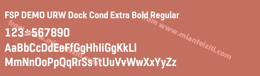 FSP DEMO URW Dock Cond Extra Bold Regular预览图1