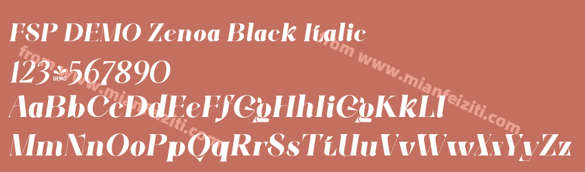FSP DEMO Zenoa Black Italic预览图1