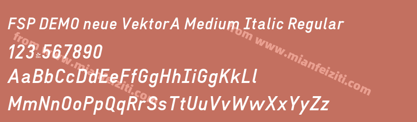 FSP DEMO neue VektorA Medium Italic Regular预览图1