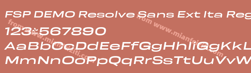 FSP DEMO Resolve Sans Ext Ita Regular预览图1