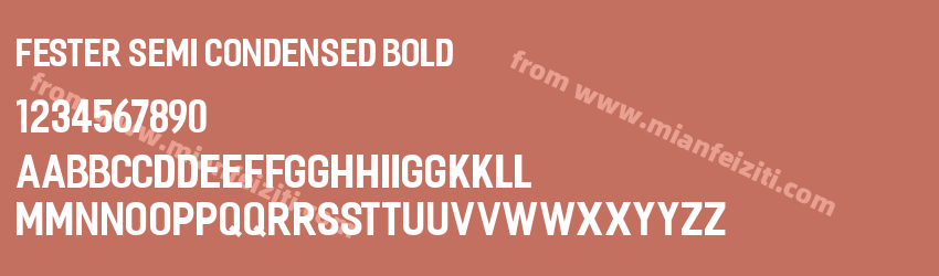Fester Semi condensed Bold预览图1