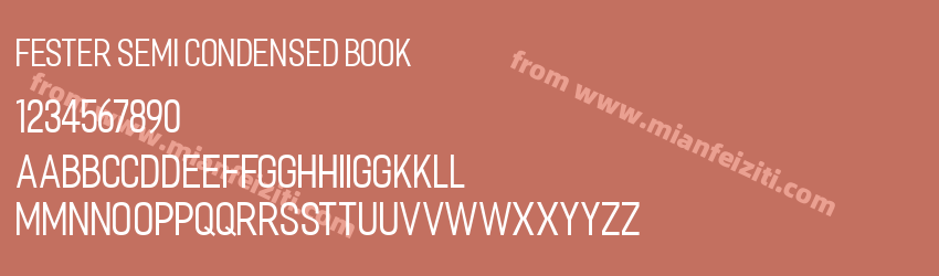 Fester Semi condensed Book预览图1