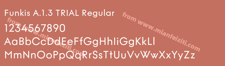 Funkis A.1.3 TRIAL Regular预览图1