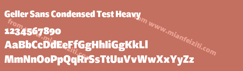 Geller Sans Condensed Test Heavy预览图1