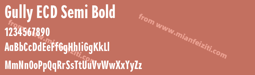 Gully ECD Semi Bold预览图1