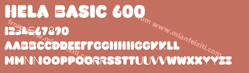 Hela Basic 600预览图1