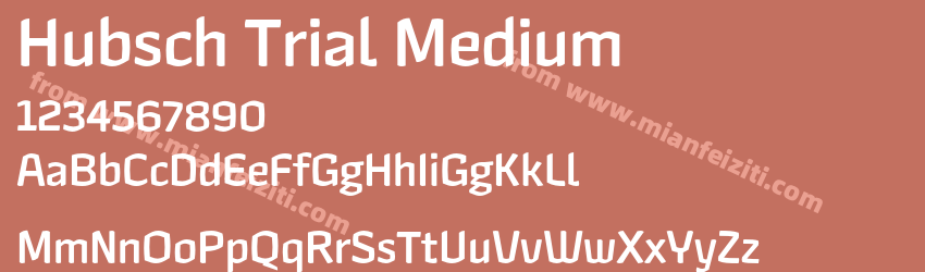 Hubsch Trial Medium预览图1