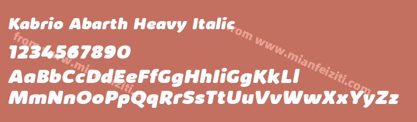 Kabrio Abarth Heavy Italic预览图1