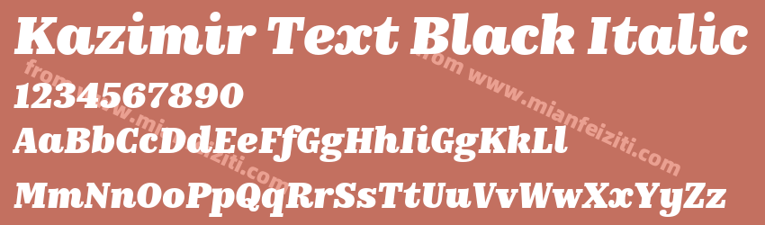 Kazimir Text Black Italic预览图1