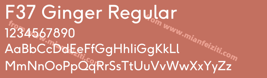 F37 Ginger Regular预览图1