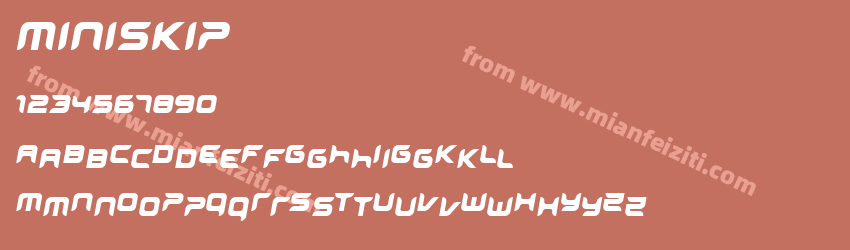 miniskip预览图1