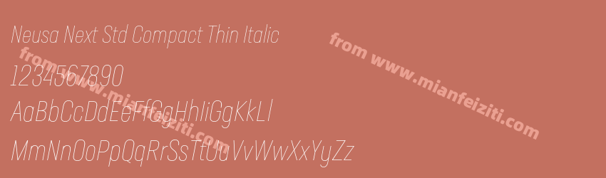 Neusa Next Std Compact Thin Italic预览图1