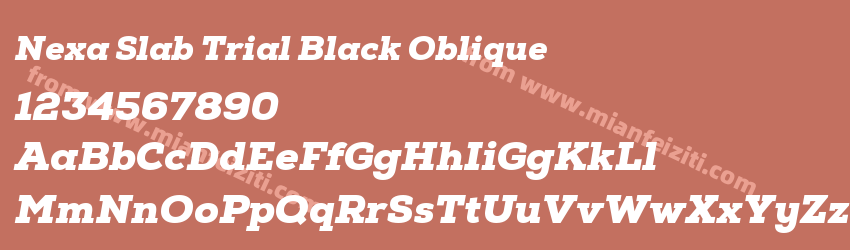 Nexa Slab Trial Black Oblique预览图1