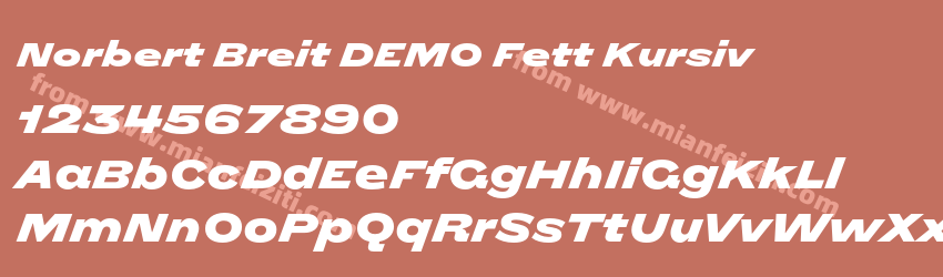 Norbert Breit DEMO Fett Kursiv预览图1