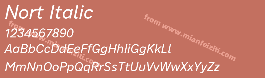Nort Italic预览图1