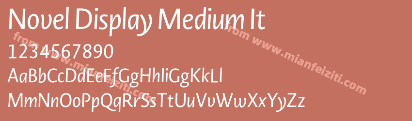 Novel Display Medium It预览图1