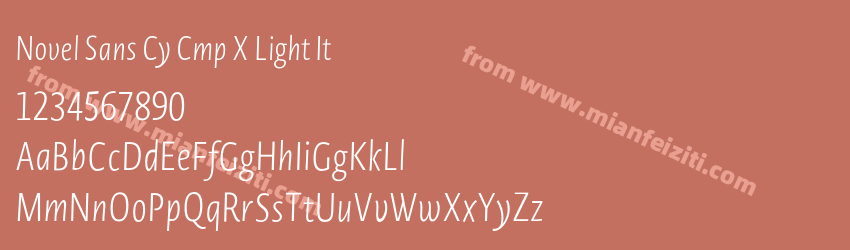 Novel Sans Cy Cmp X Light It预览图1